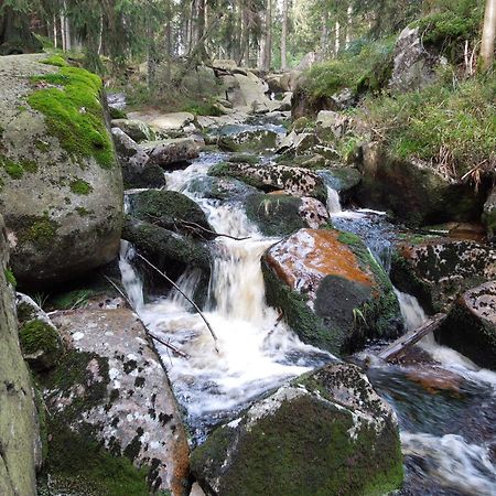 Blockhaus Bodefall Braunlage Zewnętrze zdjęcie