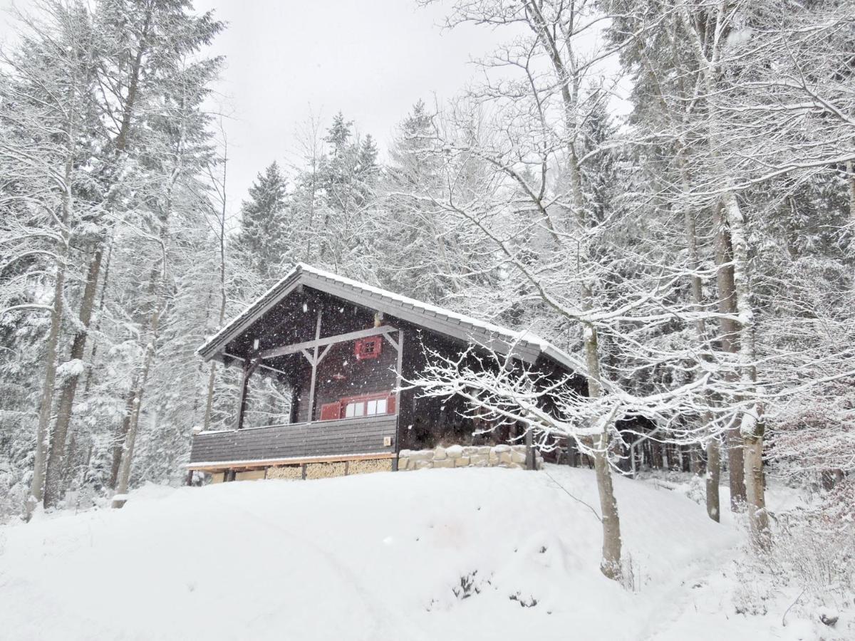 Blockhaus Bodefall Braunlage Zewnętrze zdjęcie