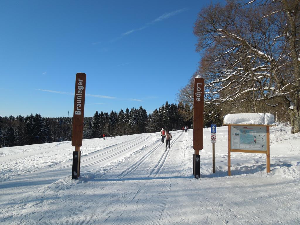 Willa Blockhaus Bodefall Braunlage Pokój zdjęcie