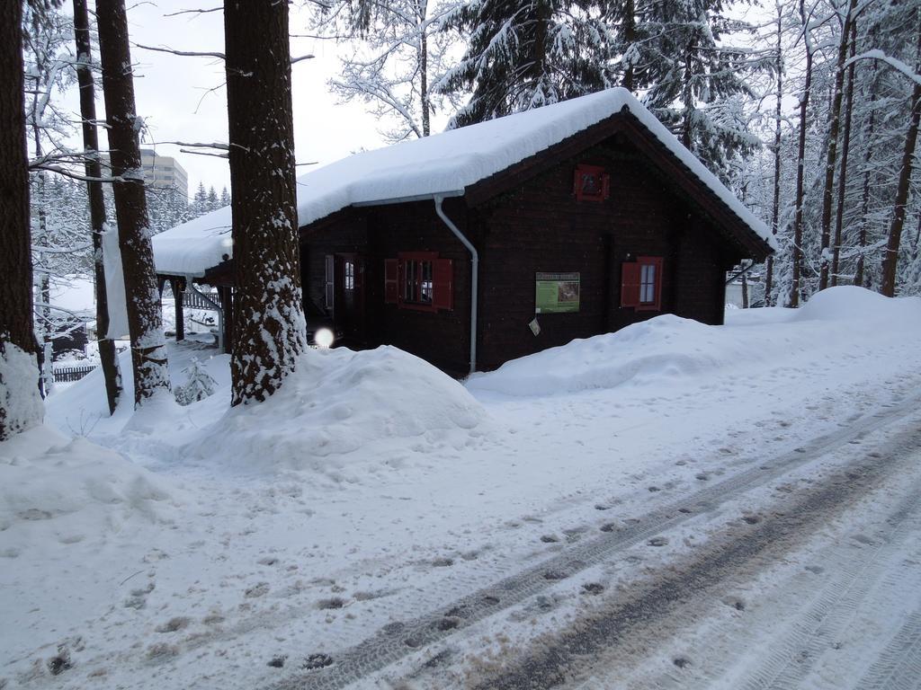 Willa Blockhaus Bodefall Braunlage Pokój zdjęcie