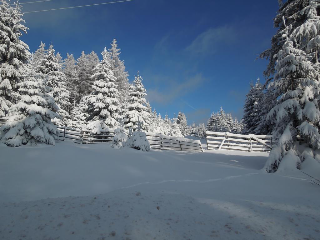 Blockhaus Bodefall Braunlage Pokój zdjęcie