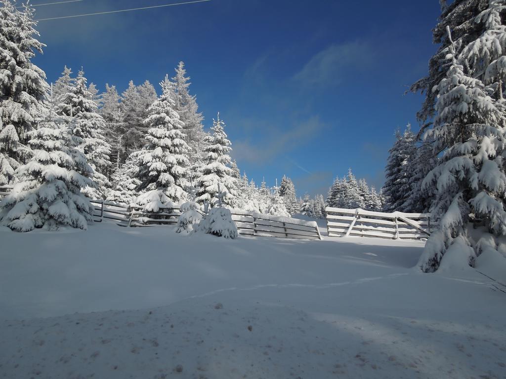 Willa Blockhaus Bodefall Braunlage Pokój zdjęcie