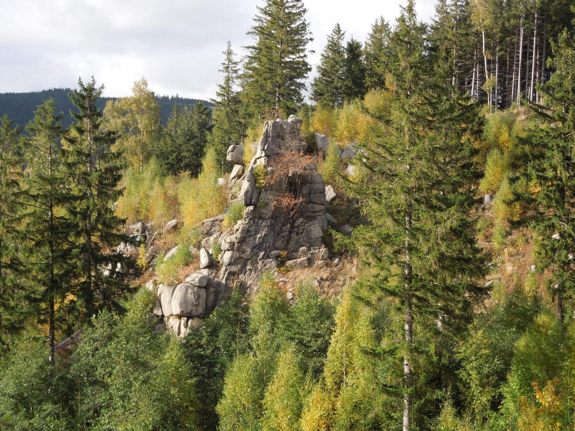 Blockhaus Bodefall Braunlage Zewnętrze zdjęcie