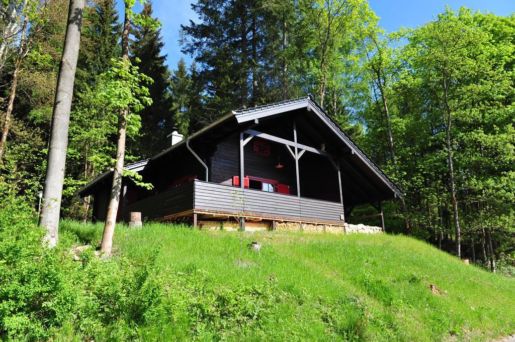 Blockhaus Bodefall Braunlage Zewnętrze zdjęcie