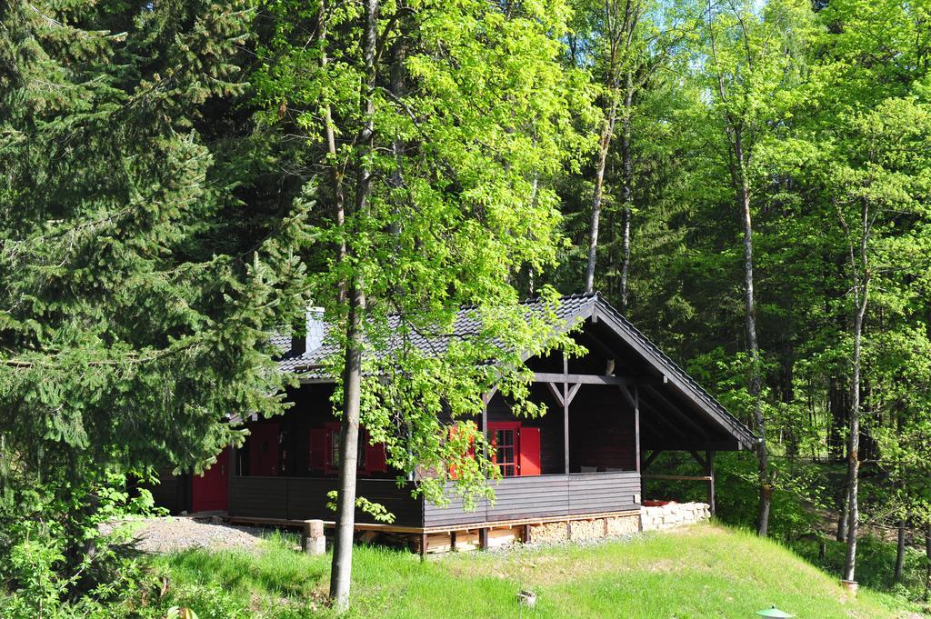 Willa Blockhaus Bodefall Braunlage Zewnętrze zdjęcie