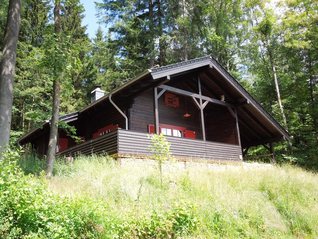 Blockhaus Bodefall Braunlage Zewnętrze zdjęcie