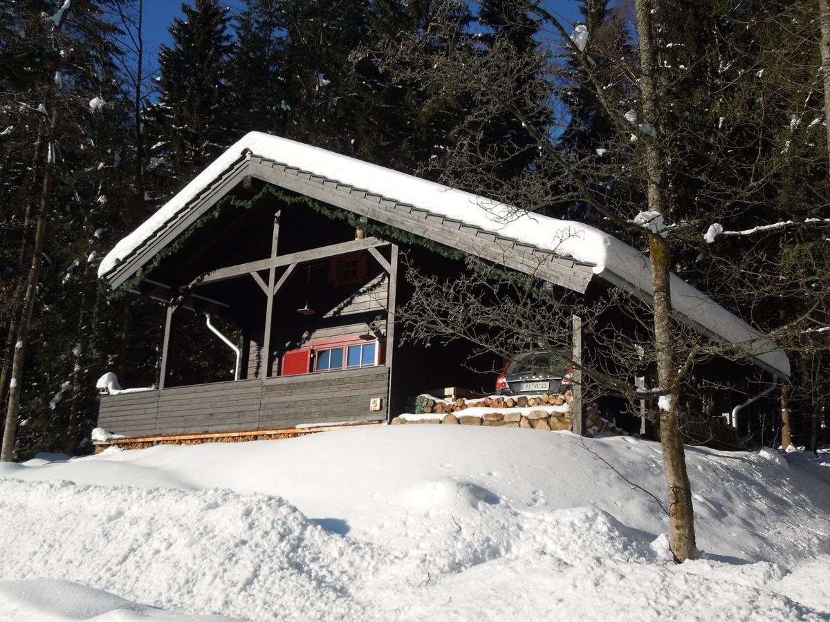 Willa Blockhaus Bodefall Braunlage Zewnętrze zdjęcie