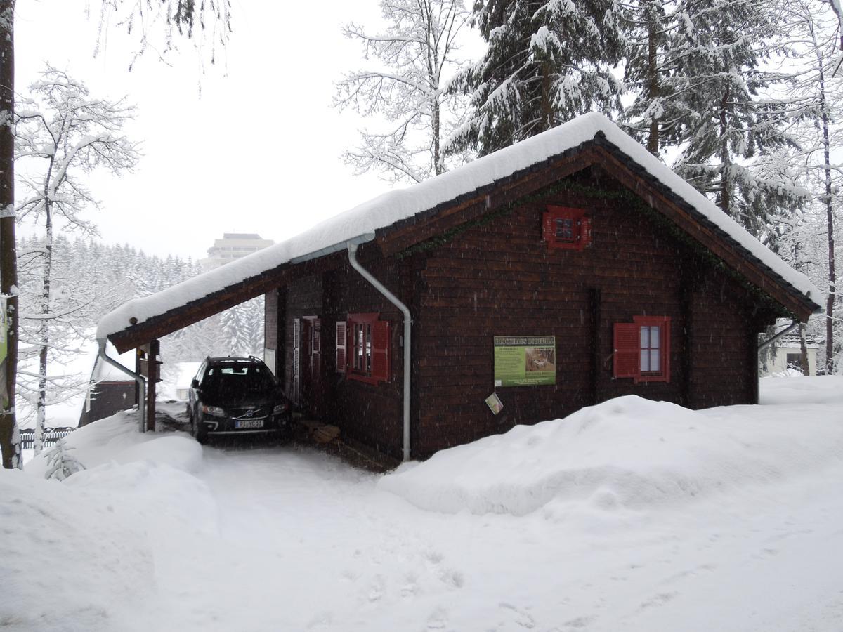 Blockhaus Bodefall Braunlage Zewnętrze zdjęcie