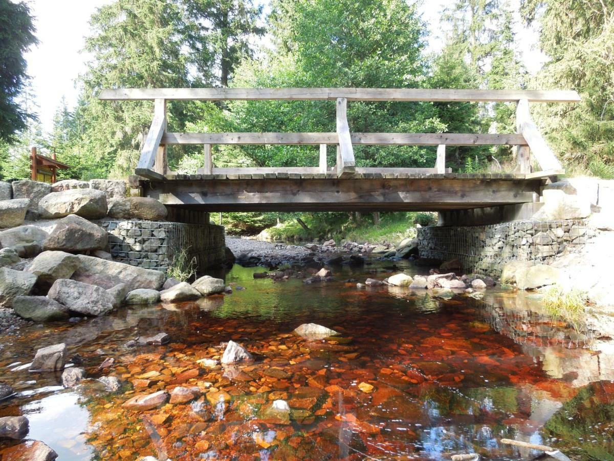 Willa Blockhaus Bodefall Braunlage Zewnętrze zdjęcie